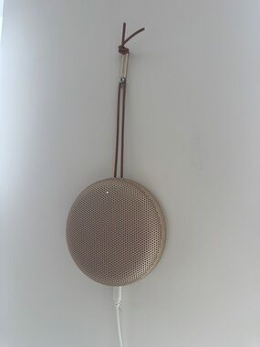 Bang & Olufsen beosound a1 2 gen